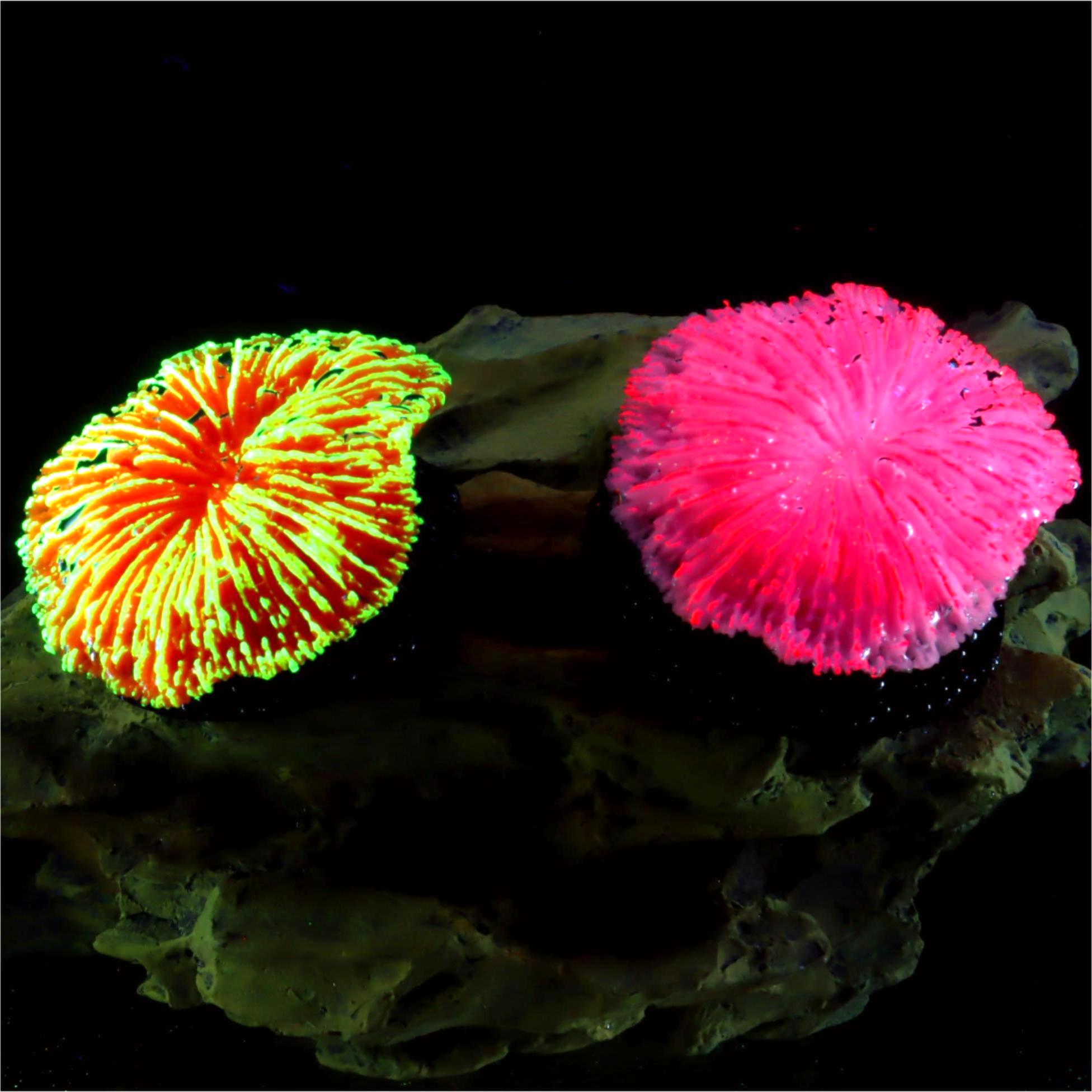 Live Plant Aquarium - 1 stuk aquariumdecoratie, zaagkoraal, mini fluorescerend
