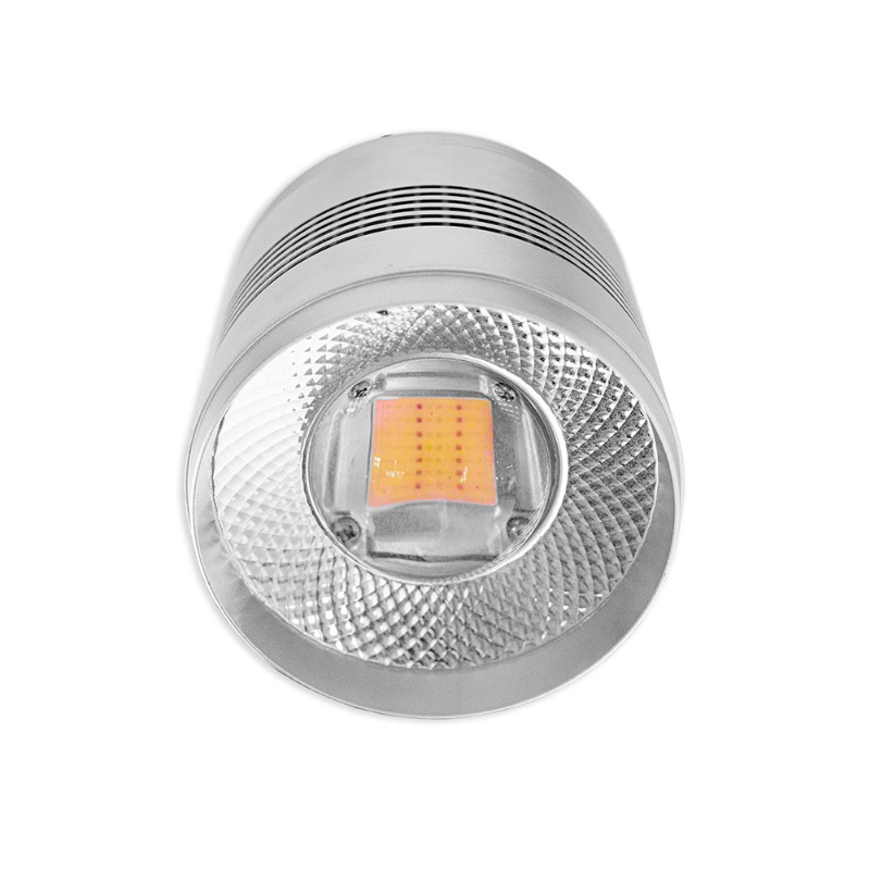 Planted Aquarium Algae Control - 70W LED aquariumverlichting voor zoetwaterplantenbakken met