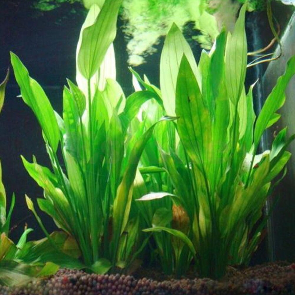Aquarium Plants Live - 15 cm Kunstmatige Aquarium Decor Planten
