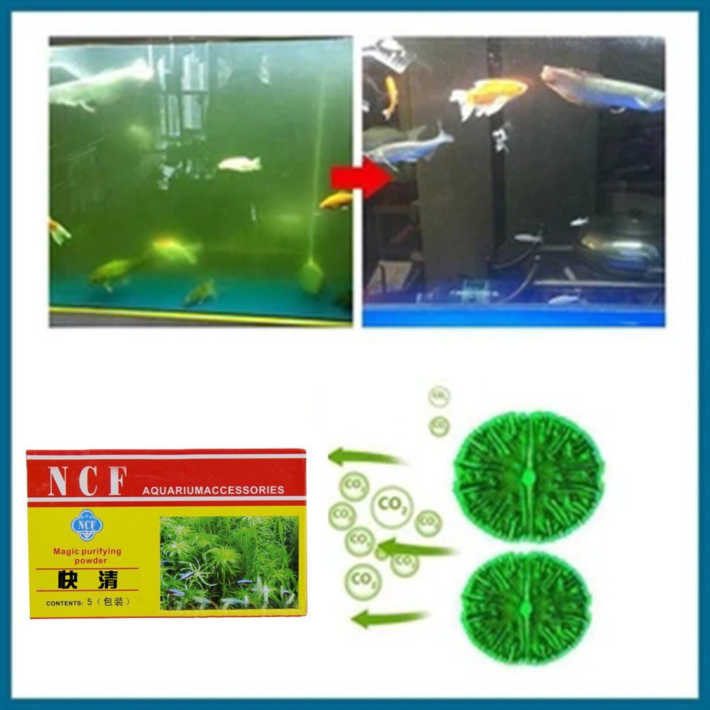 Aquarium Moss - Aquarium Waterzuiverend Poeder Verwijder geur Algen