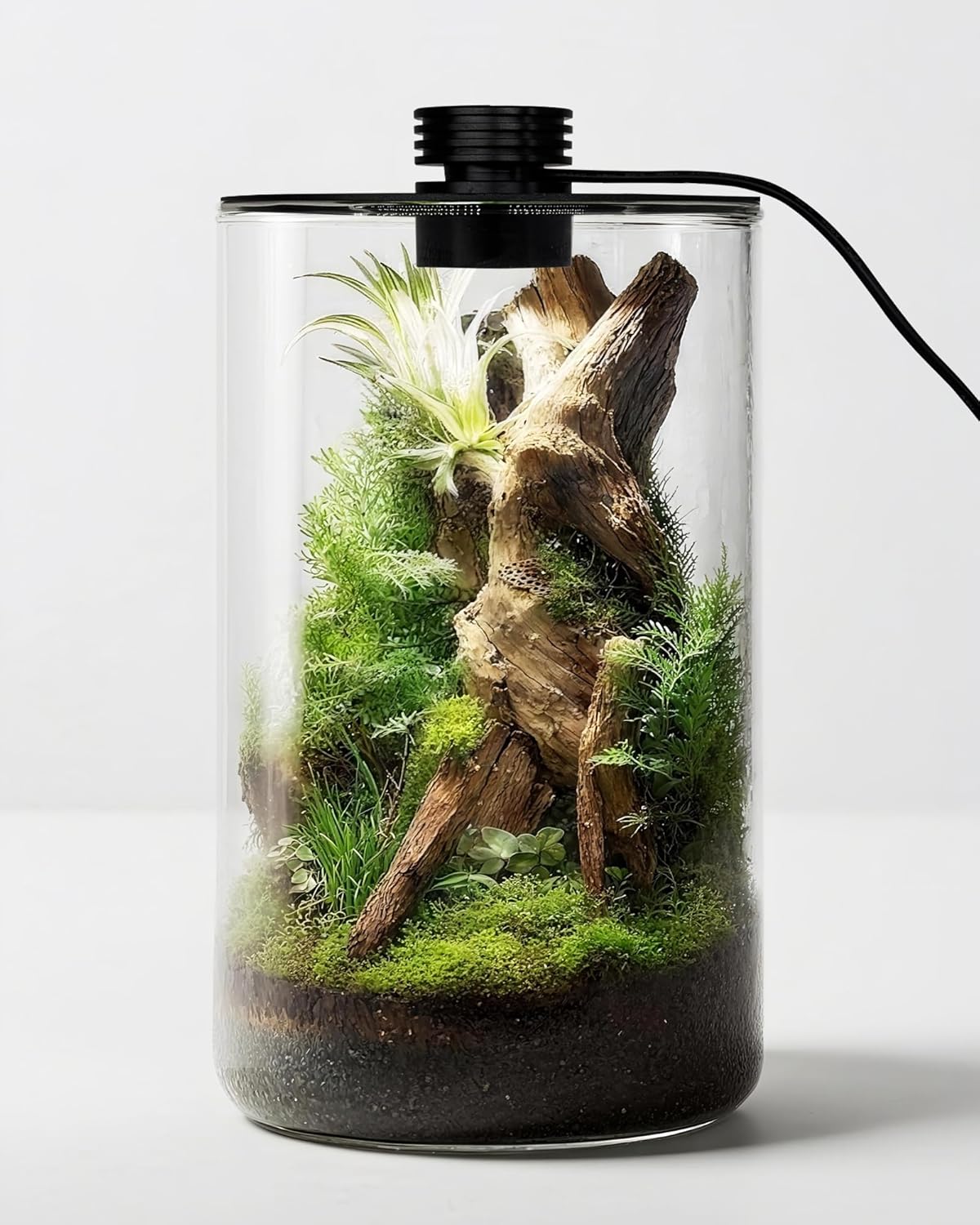 Planted Tank - Glazen terrarium voor binnen met groeilamp,
