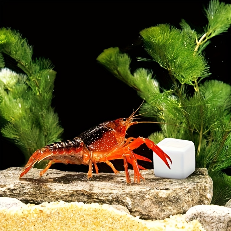 Aquarium Plants Live - 6 stuks Calciumblokken voor aquarium, mineralen,