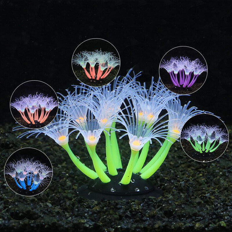 Siliconen gloeiende landschaps - Aquarium Plants Live recensie en prijs