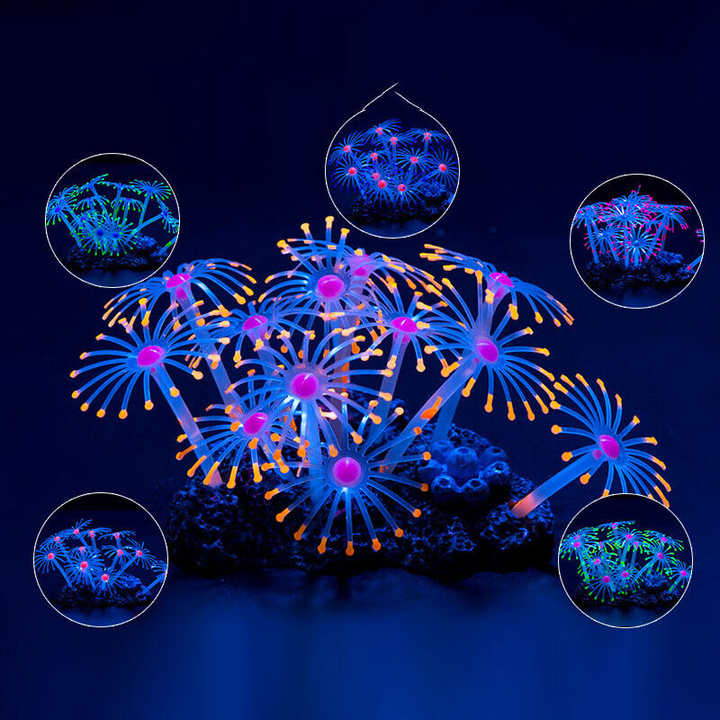 Siliconen gloeiende landschaps - Aquarium Plants Live recensie en prijs