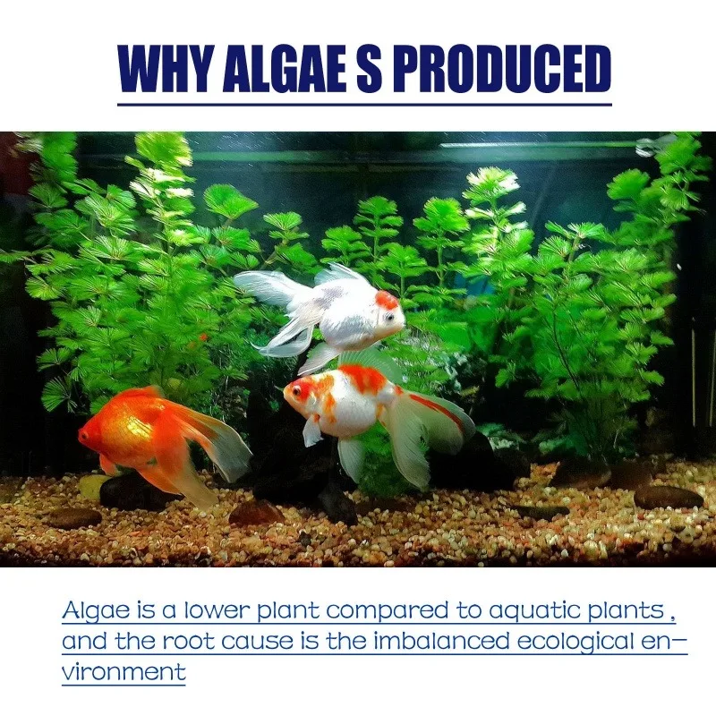 50g Hoogwaardig algemiddel teg - Aquarium Moss recensie en prijs