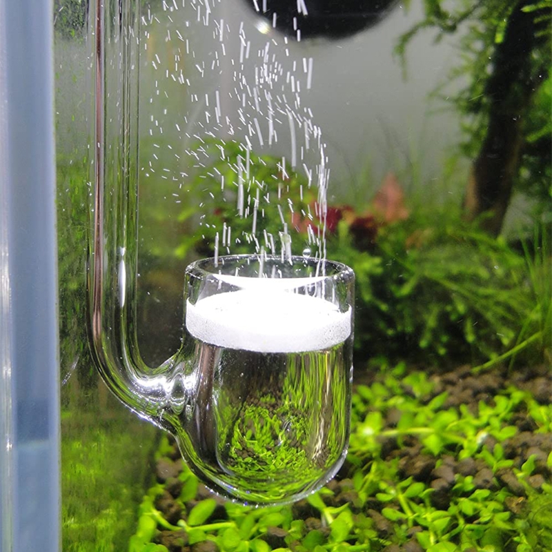 D0AD Glazen CO2-diffusor voor  - Aquarium Liquid Carbon recensie en prijs
