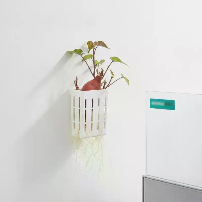 1 Stuks Hydroponische Onderste - Plant Aquarium Pot recensie en prijs