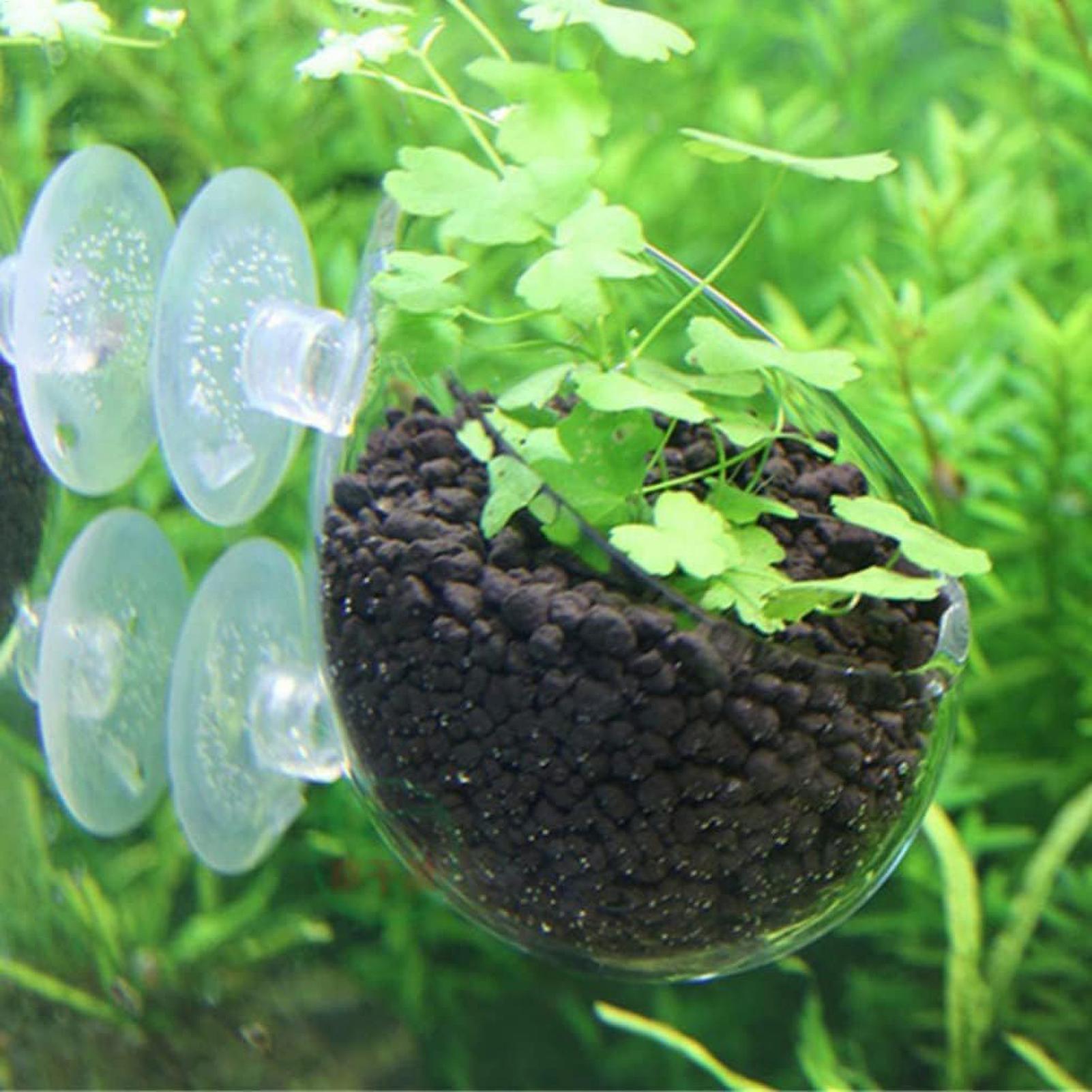 Aquariumplantenhouder Glazen A - Plant Aquarium Pot recensie en prijs