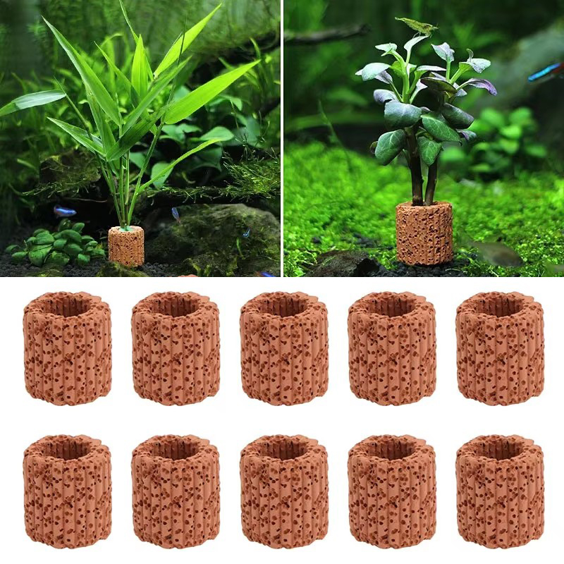 Aquatische Plant Vaste Ring vo - Plant Aquarium Pot recensie en prijs