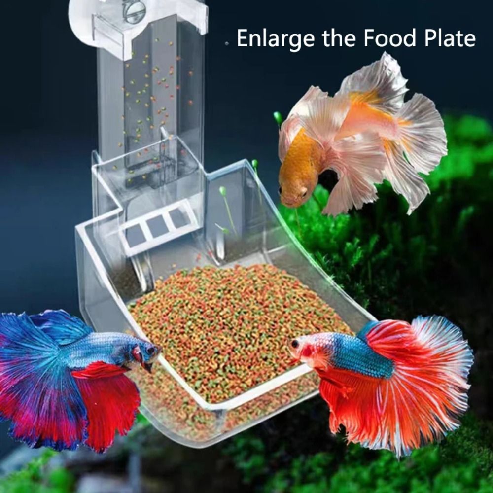 Nieuwe Transparante Aquarium F - Aquarium Fertilizer recensie en prijs