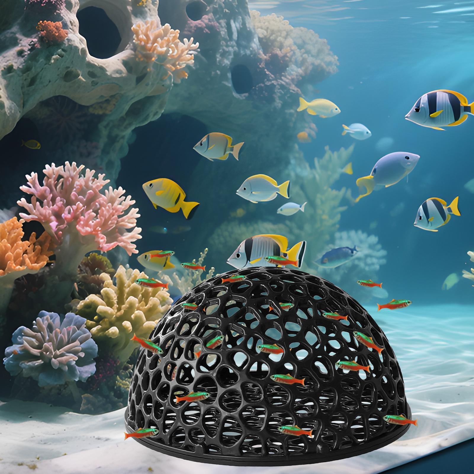 Aquarium Verbergen Grot Onderd - Aquarium Plants Live recensie en prijs
