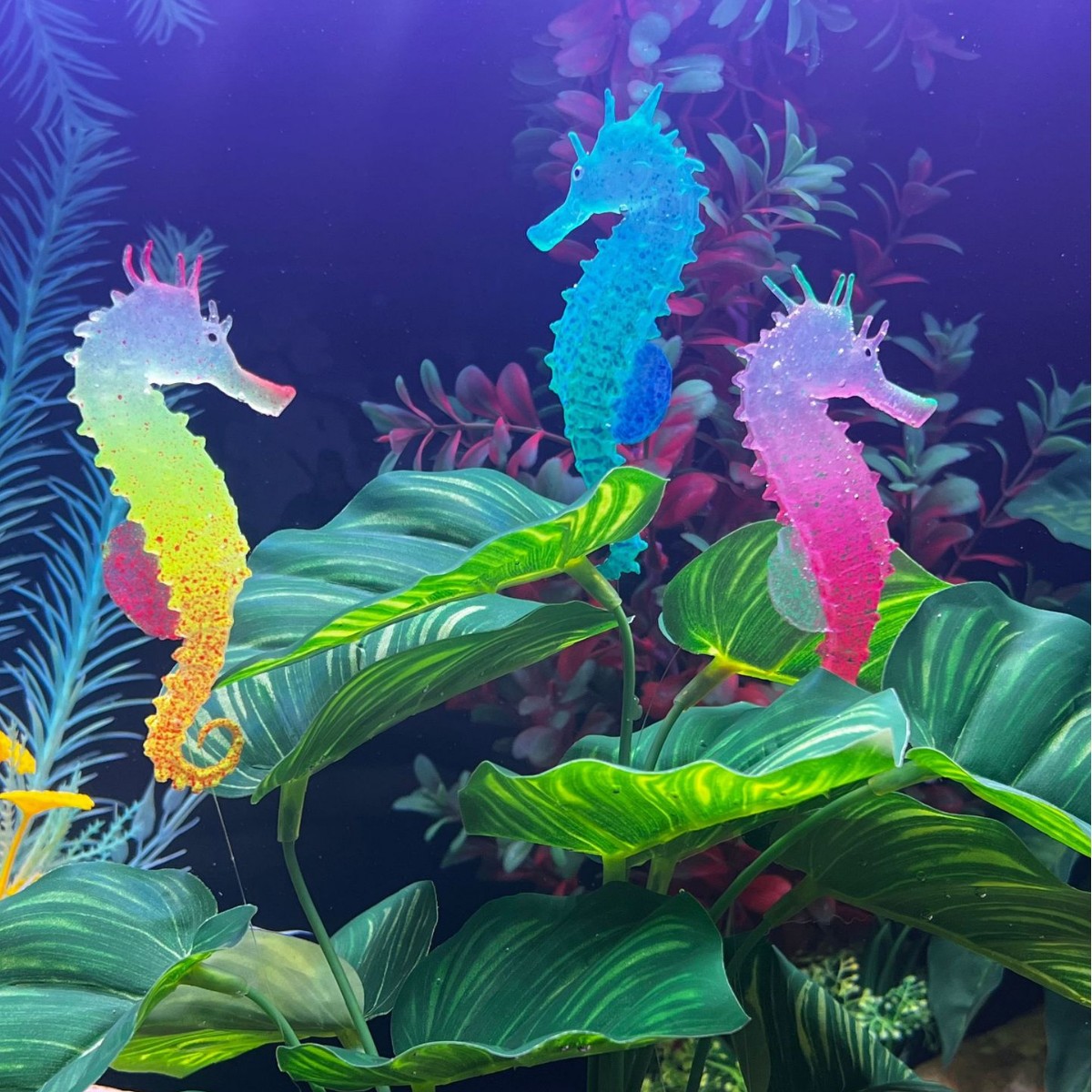 Gesimuleerde Lichtgevende Zeep - Aquarium Plant Substrate recensie en prijs