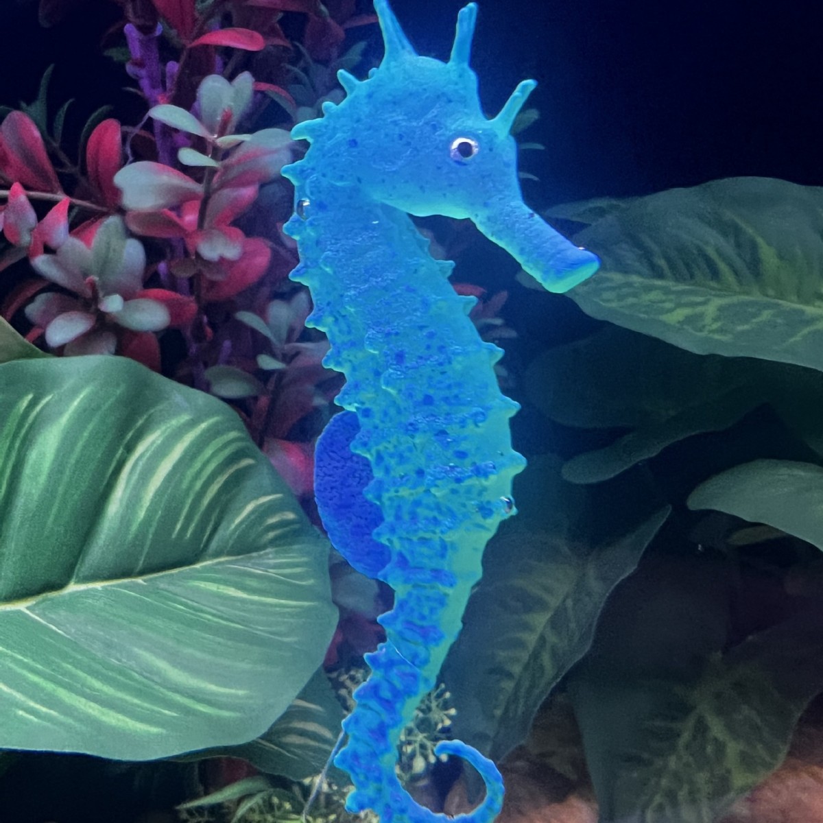 Gesimuleerde Lichtgevende Zeep - Aquarium Plant Substrate recensie en prijs