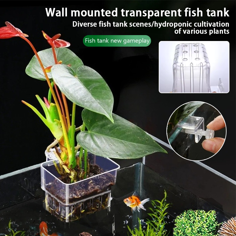 Aquarium hangende plantenbakje - Plant Aquarium Pot recensie en prijs