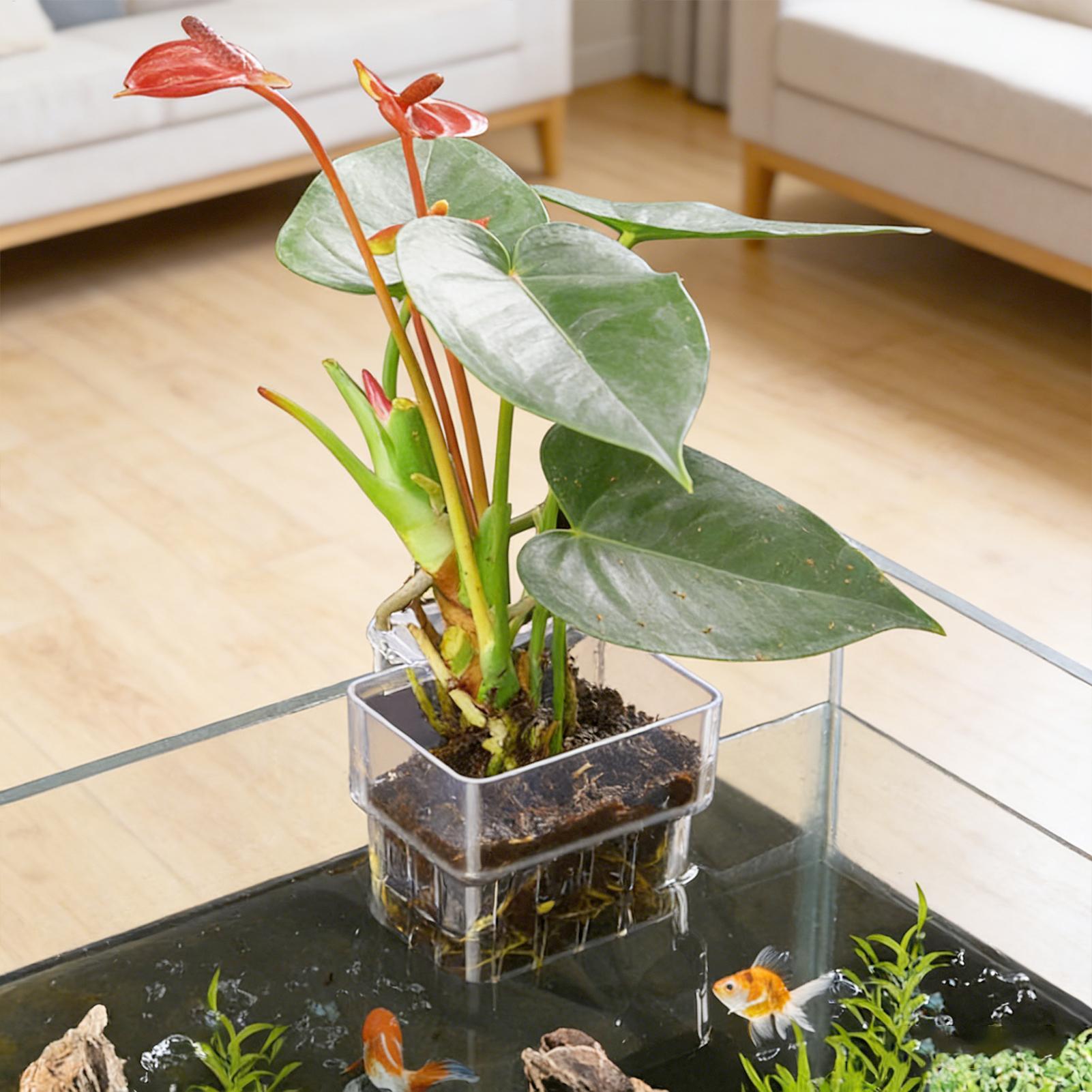 Aquariumplantenmand Transparan - Plant Aquarium Pot recensie en prijs
