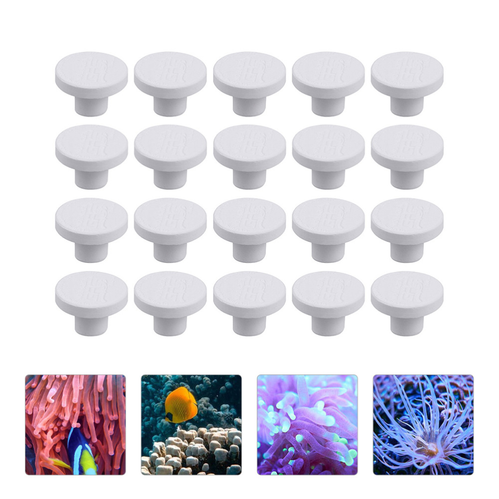 SPS Keramische Koraal Frag Plu - Aquarium Plants Live recensie en prijs