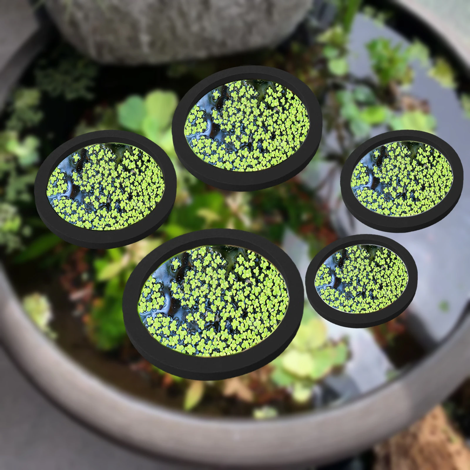 5 stks EVA Vis Voeden Ring Aqu - Planted Tank recensie en prijs