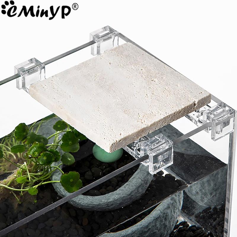 4 Stuks Aquarium Acryl Clips V - Aquarium Plant Holder recensie en prijs