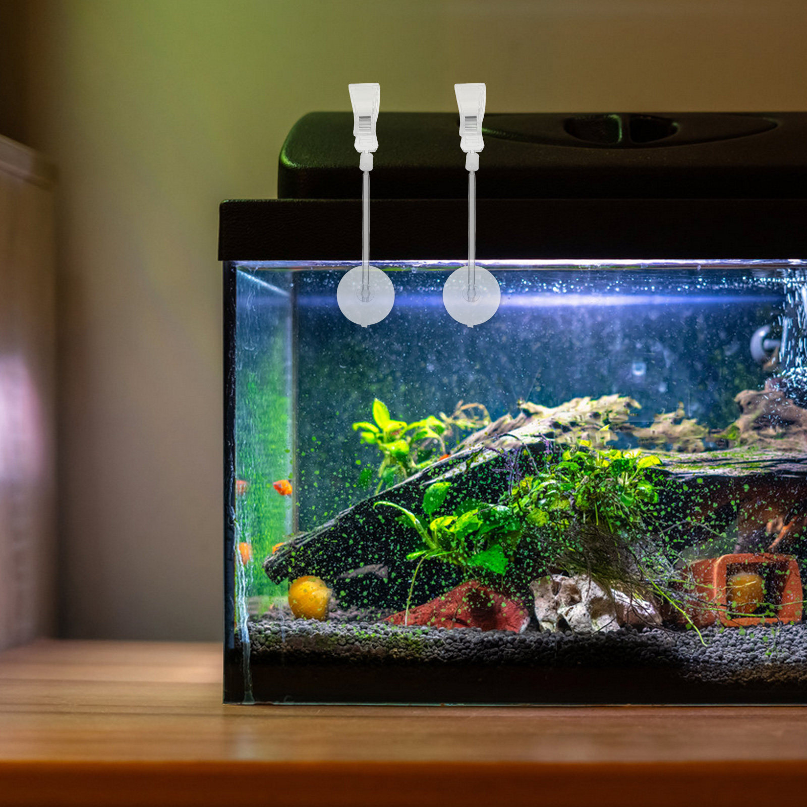 3 stuks Aquarium Vissenbak Hal - Aquarium Plant Holder recensie en prijs