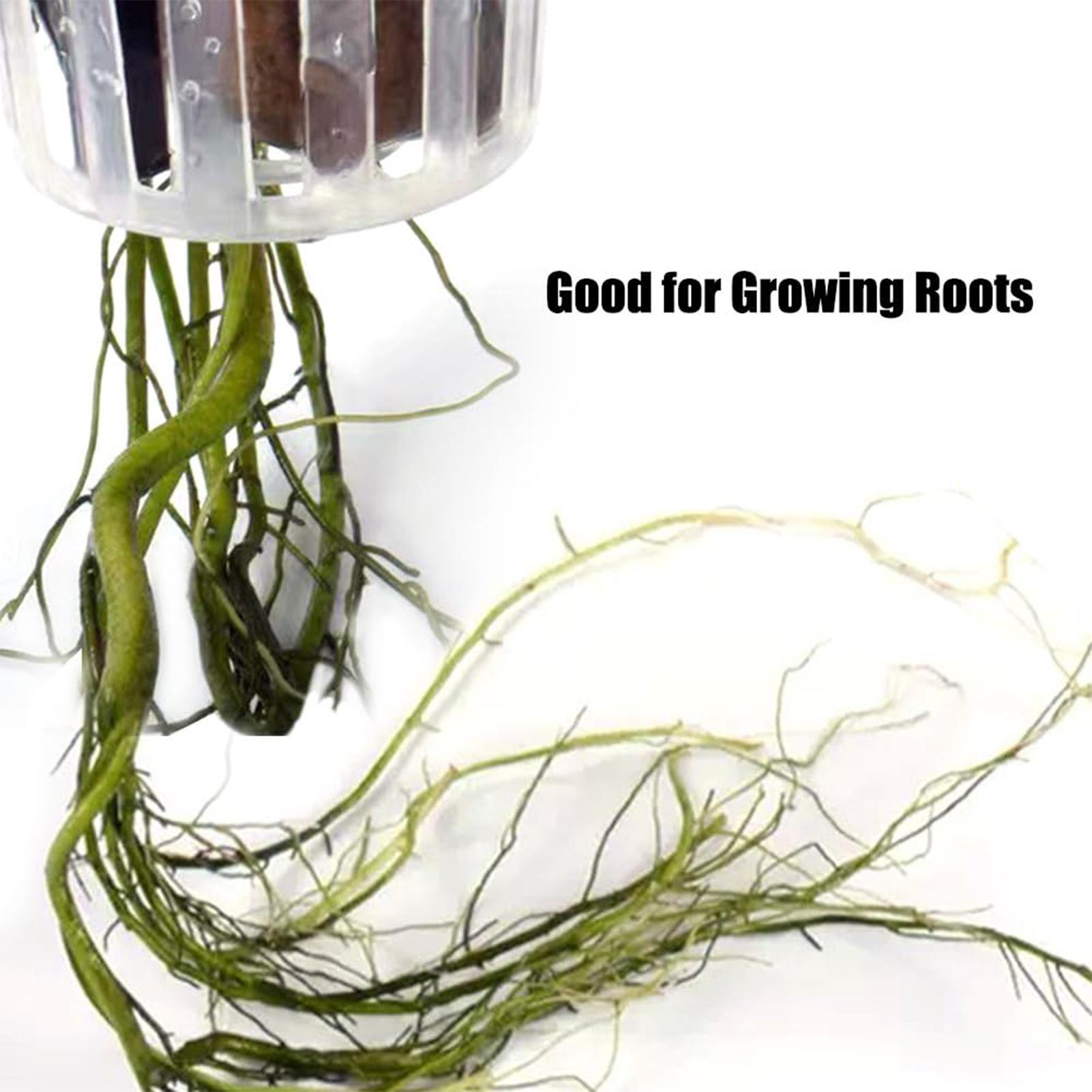 2 stuks ophangbare houder voor - Plant Aquarium Pot recensie en prijs