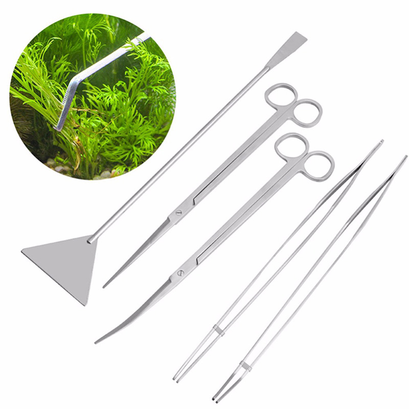 Professionele aquariumonderhou - Aquarium Plants Live recensie en prijs