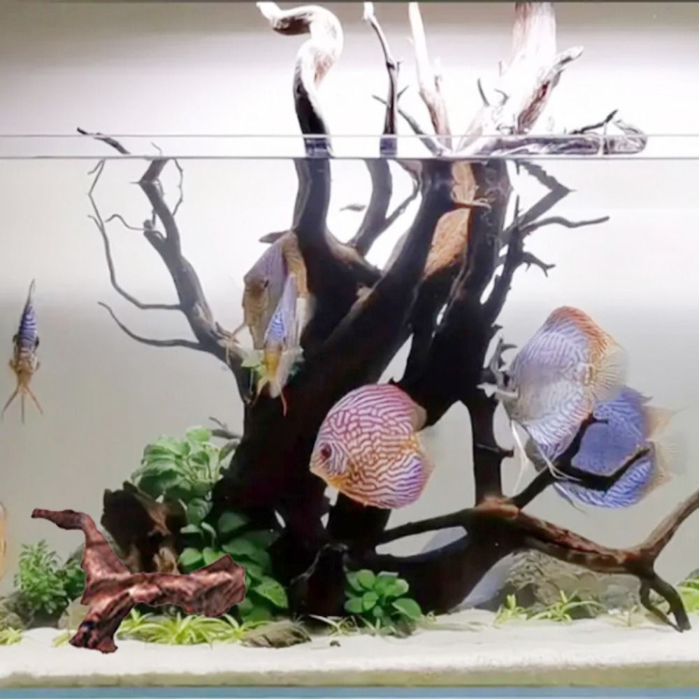 Creatief gevormd koraalhout, n - Aquarium Driftwood recensie en prijs