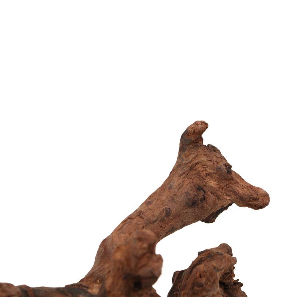 Creatief gevormd koraalhout, n - Aquarium Driftwood recensie en prijs
