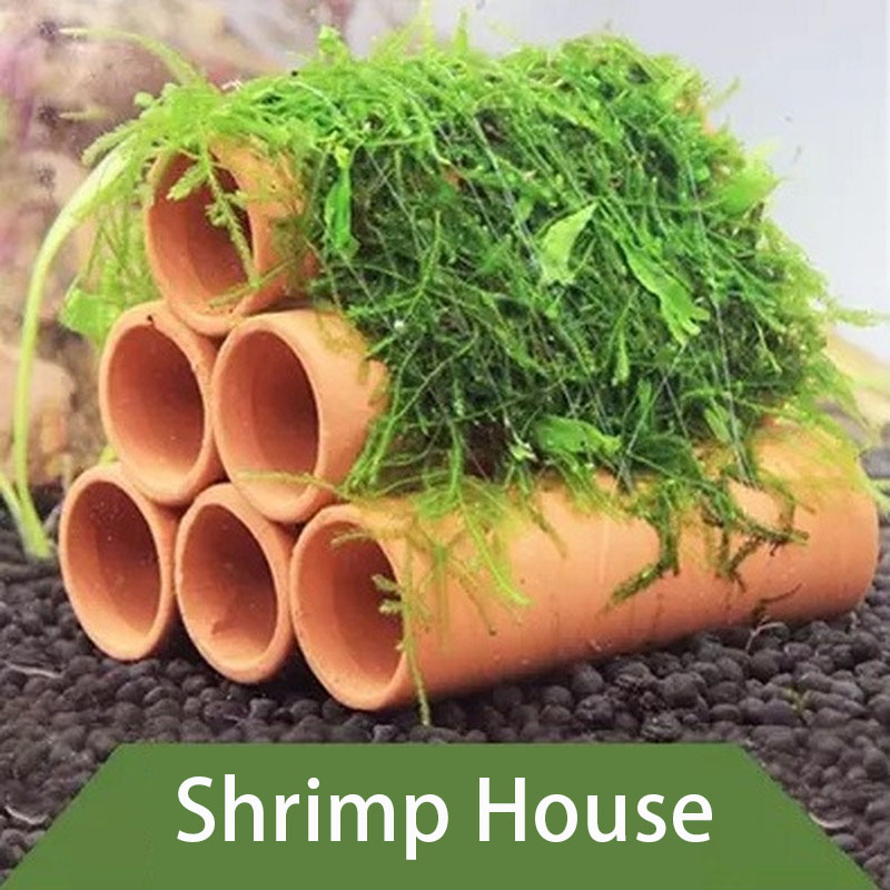 Klei Aquarium Decoratie Vis Ga - Aquarium Plants Live recensie en prijs