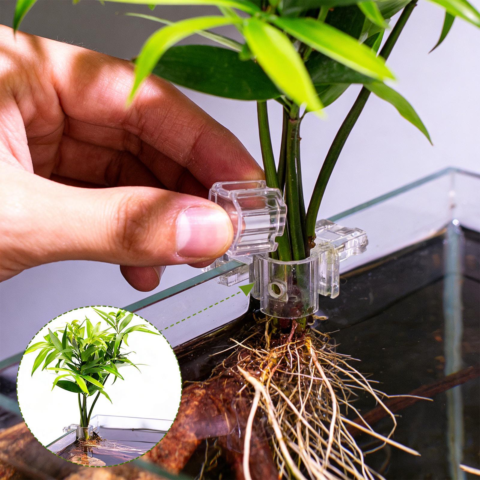 6 stuks aquariumplantenhouders - Aquarium Plants Live recensie en prijs