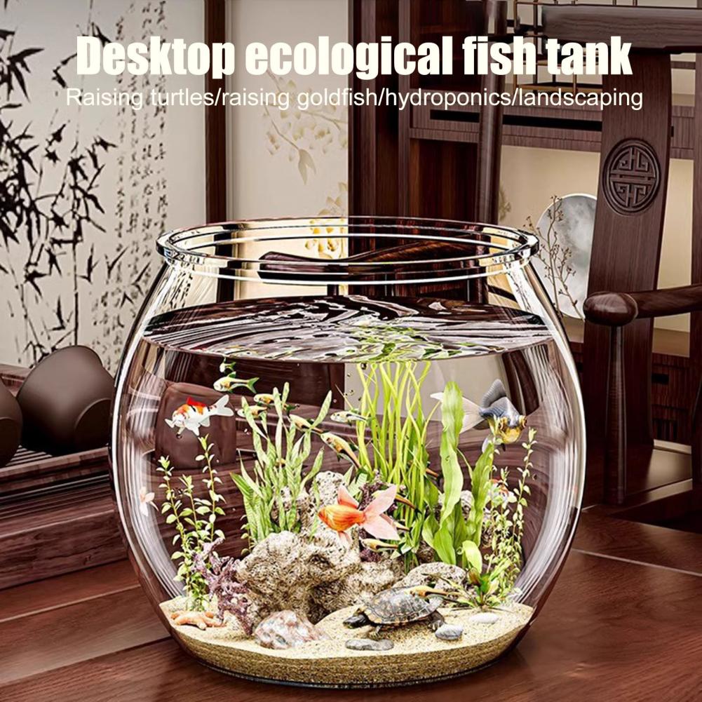 Doorzichtige plastic ronde vis - Plant Aquarium Pot recensie en prijs