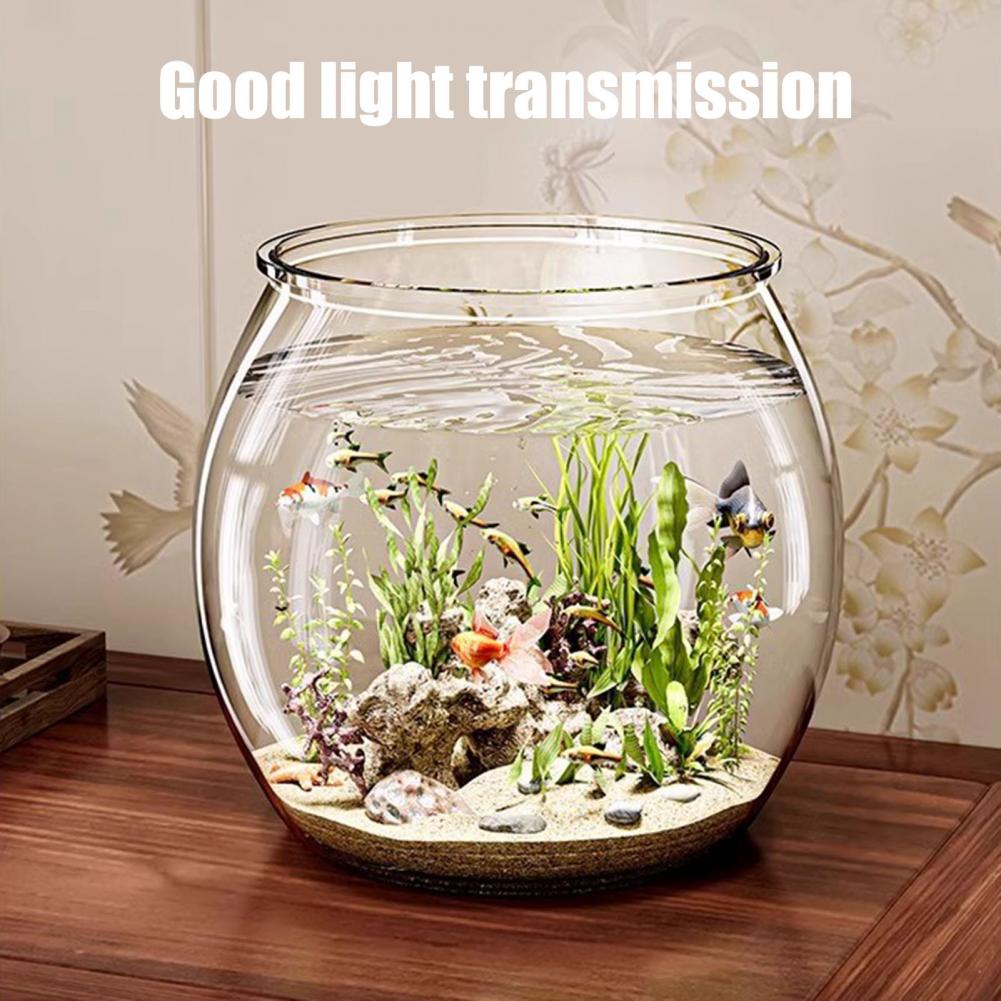 Doorzichtige plastic ronde vis - Plant Aquarium Pot recensie en prijs