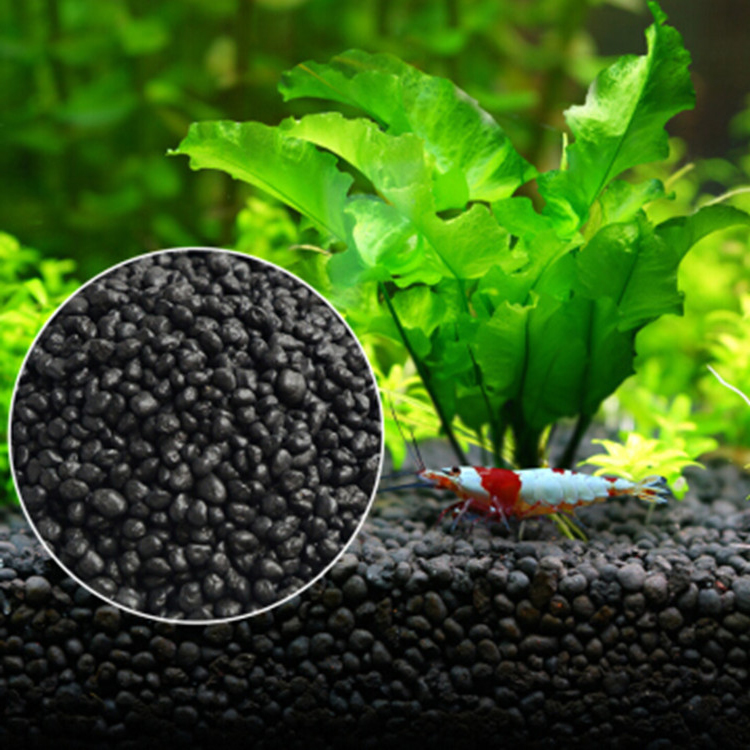 Aquarium Plant Zaden Bodem Fis - Aquarium Fertilizer recensie en prijs