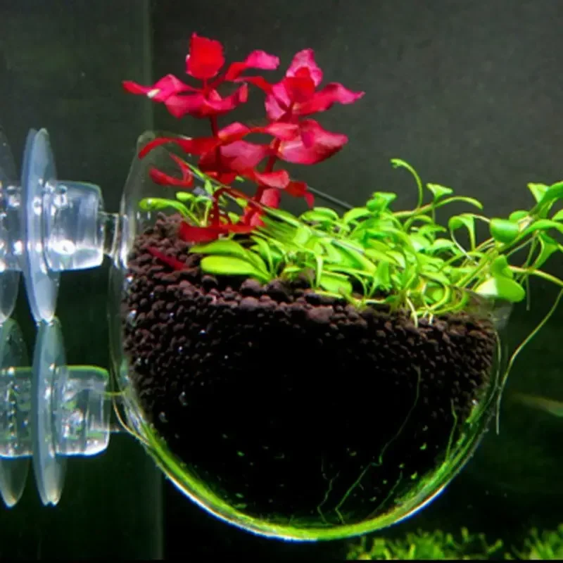 Transparante beker voor waterp - Plant Aquarium Pot recensie en prijs