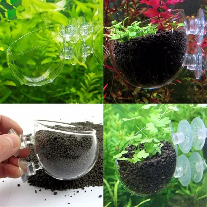 Transparante beker voor waterp - Plant Aquarium Pot recensie en prijs