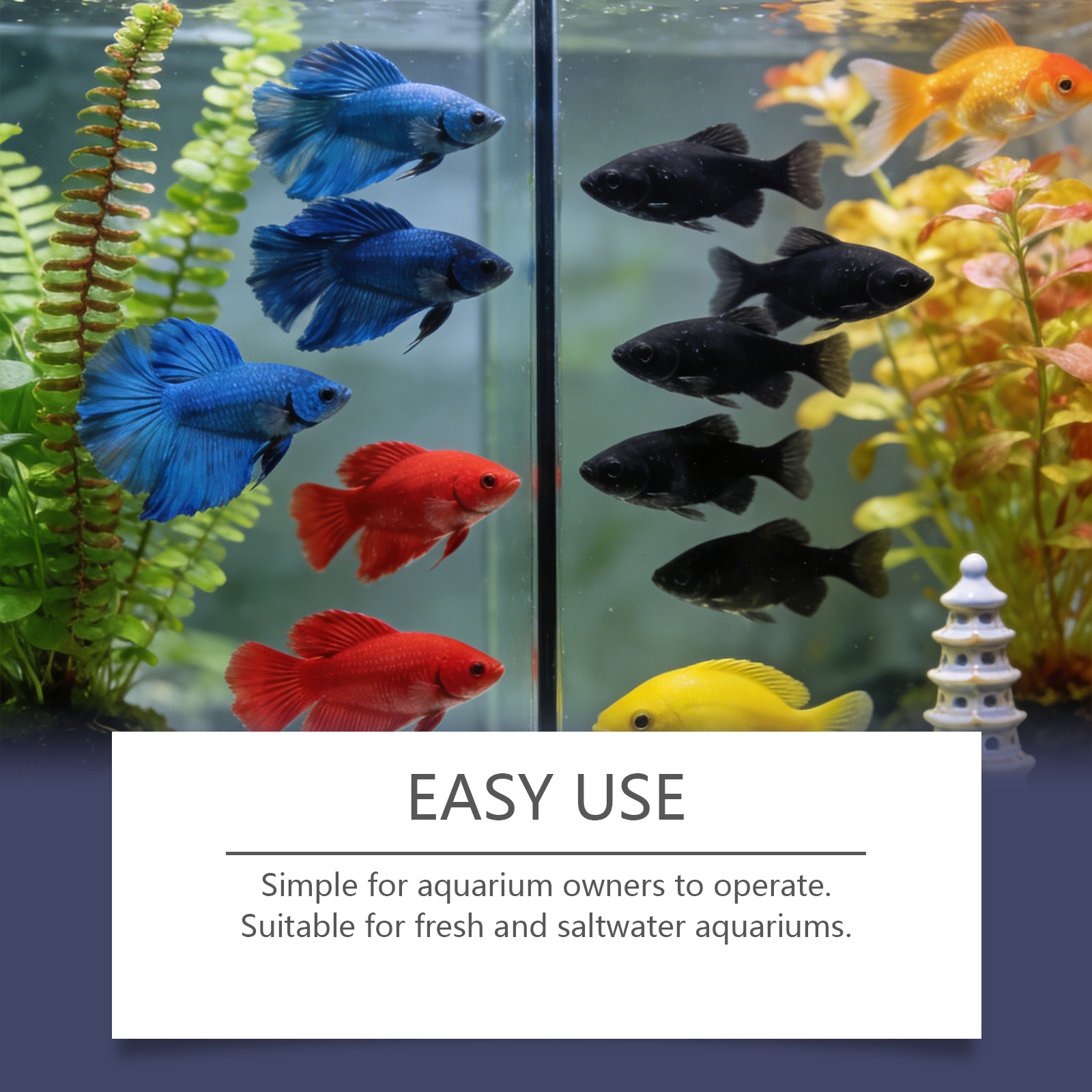Algenverwijderingstabletten vo - Planted Aquarium Algae Control recensie en prijs