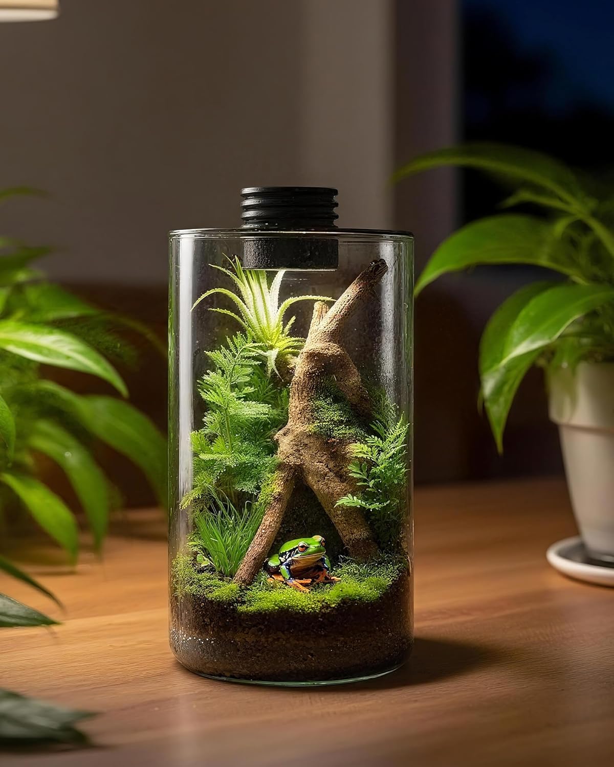 Glazen terrarium voor binnen m - Planted Tank recensie en prijs