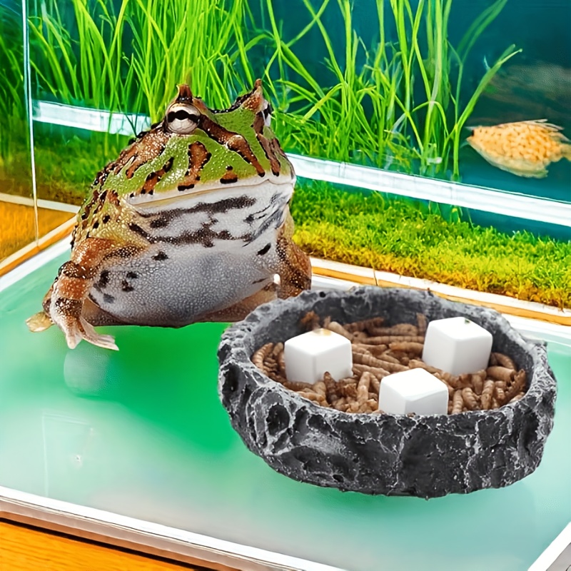 6 stuks Calciumblokken voor aq - Aquarium Plants Live recensie en prijs