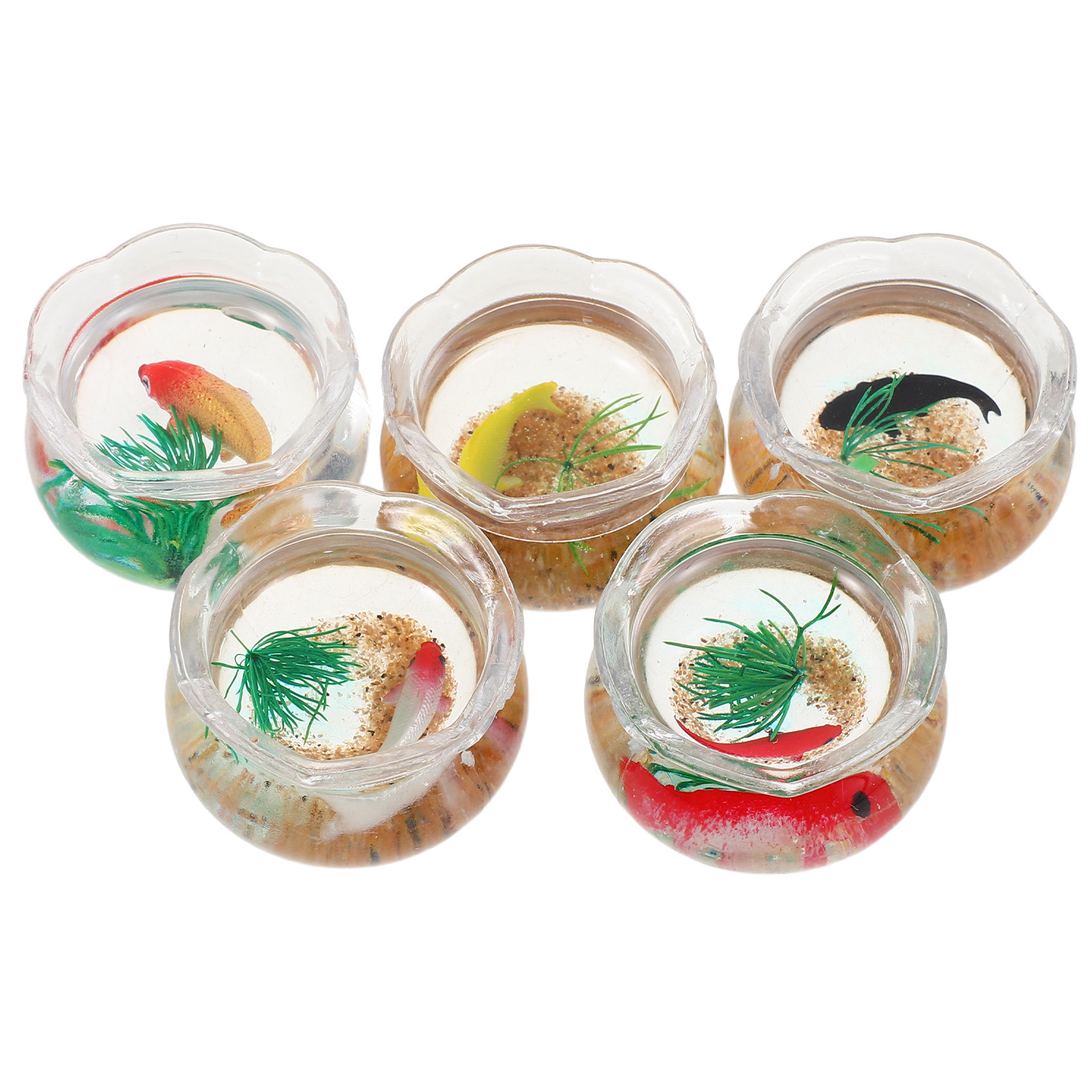 5 stuks mini-viskommen, realis - Planted Tank recensie en prijs